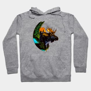 Moose Island Hoodie